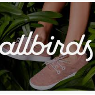 All Birds Review: A Comprehensive Look at Sustainable Footwear