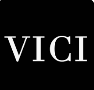 Vici Collection Review: Fashion Finds and Website Usability Compared